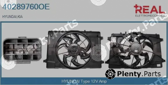 Real 40289760OE — Electric Motor, radiator fan