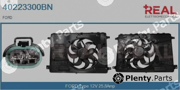 Real 40223300BN — Electric Motor, radiator fan