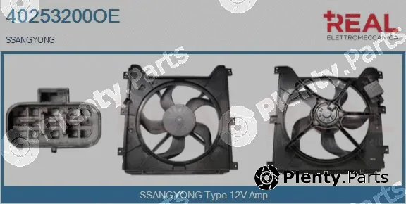 Real 40253200OE — Electric Motor, radiator fan