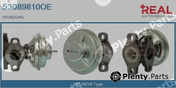Real 53089810OE — EGR Valve