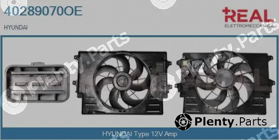 Real 40289070OE — Electric Motor, radiator fan