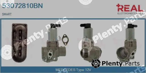 Real 53072810BN — EGR Valve