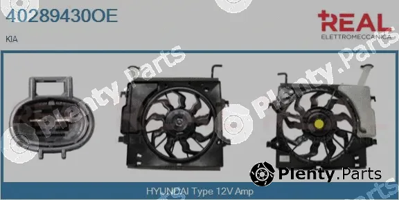 Real 40289430OE — Electric Motor, radiator fan