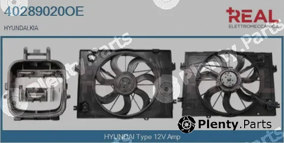 Real 40289020OE — Electric Motor, radiator fan