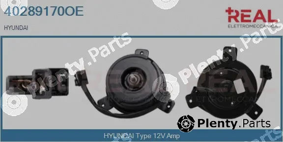 Real 40289170OE — Electric Motor, radiator fan