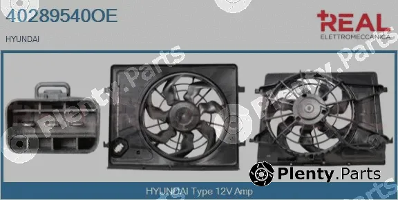 Real 40289540OE — Electric Motor, radiator fan
