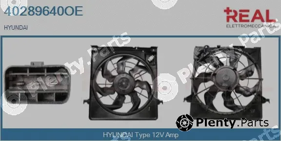 Real 40289640OE — Electric Motor, radiator fan