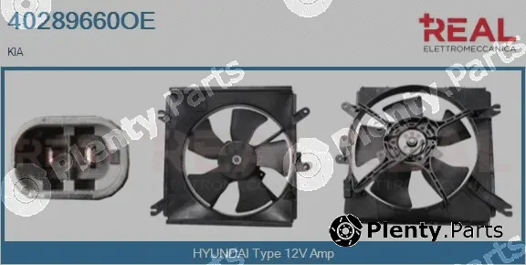 Real 40289660OE — Electric Motor, radiator fan