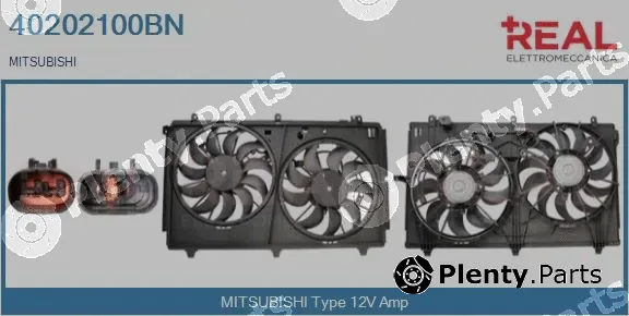 Real 40202100BN — Electric Motor, radiator fan