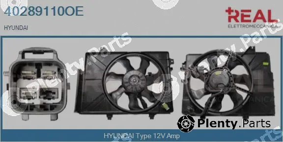 Real 40289110OE — Electric Motor, radiator fan