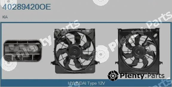Real 40289420OE — Electric Motor, radiator fan
