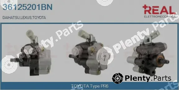 Real 36125201BN — Hydraulic Pump, steering