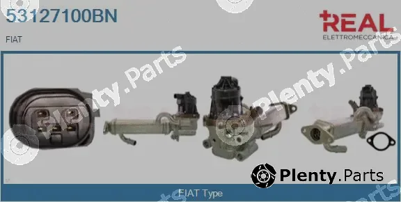 Real 53127100BN — EGR Module