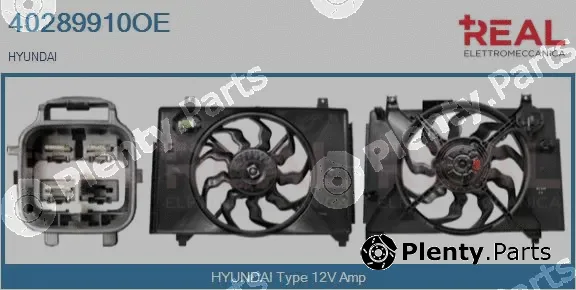 Real 40289910OE — Electric Motor, radiator fan
