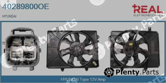 Real 40289800OE — Electric Motor, radiator fan