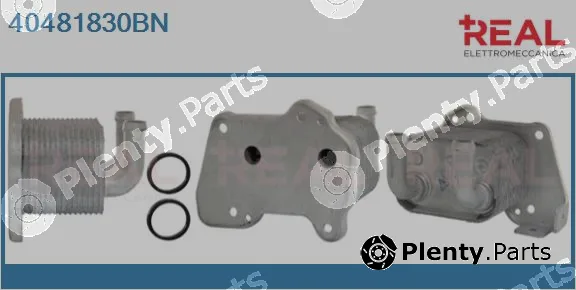 Real 40481830BN — Oil Cooler, engine oil