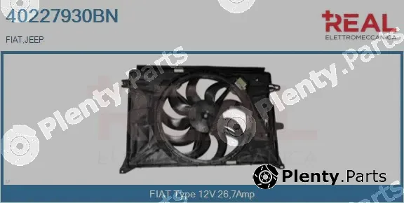 Real 40227930BN — Electric Motor, radiator fan