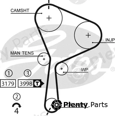 Gates-Sea 5654XS — Timing Belt PowerGrip®