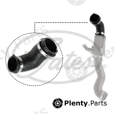 Gates-Sea 09-0719 — Charge Air Hose