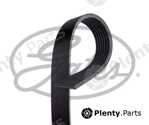 Gates-Sea 7PK1710 — V-Ribbed Belt Micro-V®