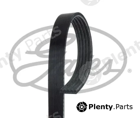 Gates-Sea 5PK960 — V-Ribbed Belt Micro-V®