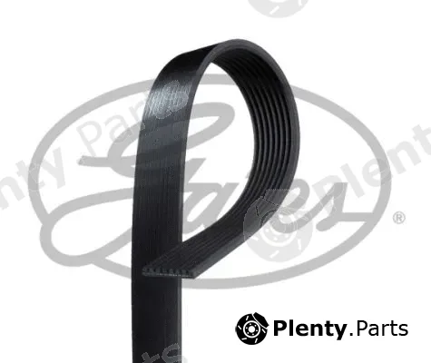 Gates-Sea 8PK954EST — V-Ribbed Belt Micro-V®
