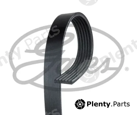 Gates-Sea 6PK1625 — V-Ribbed Belt Micro-V®