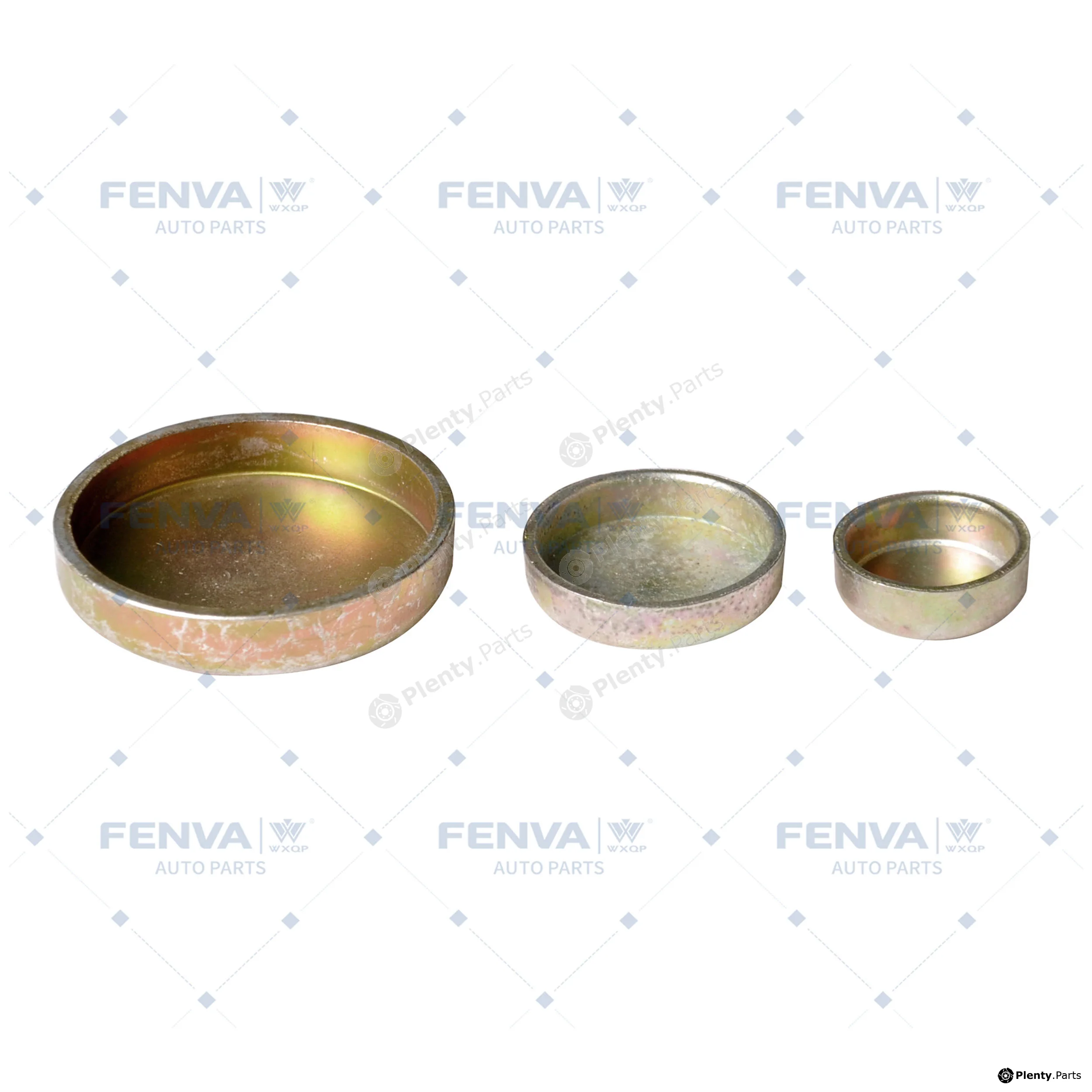 WXQP 310257 — Frost Plug