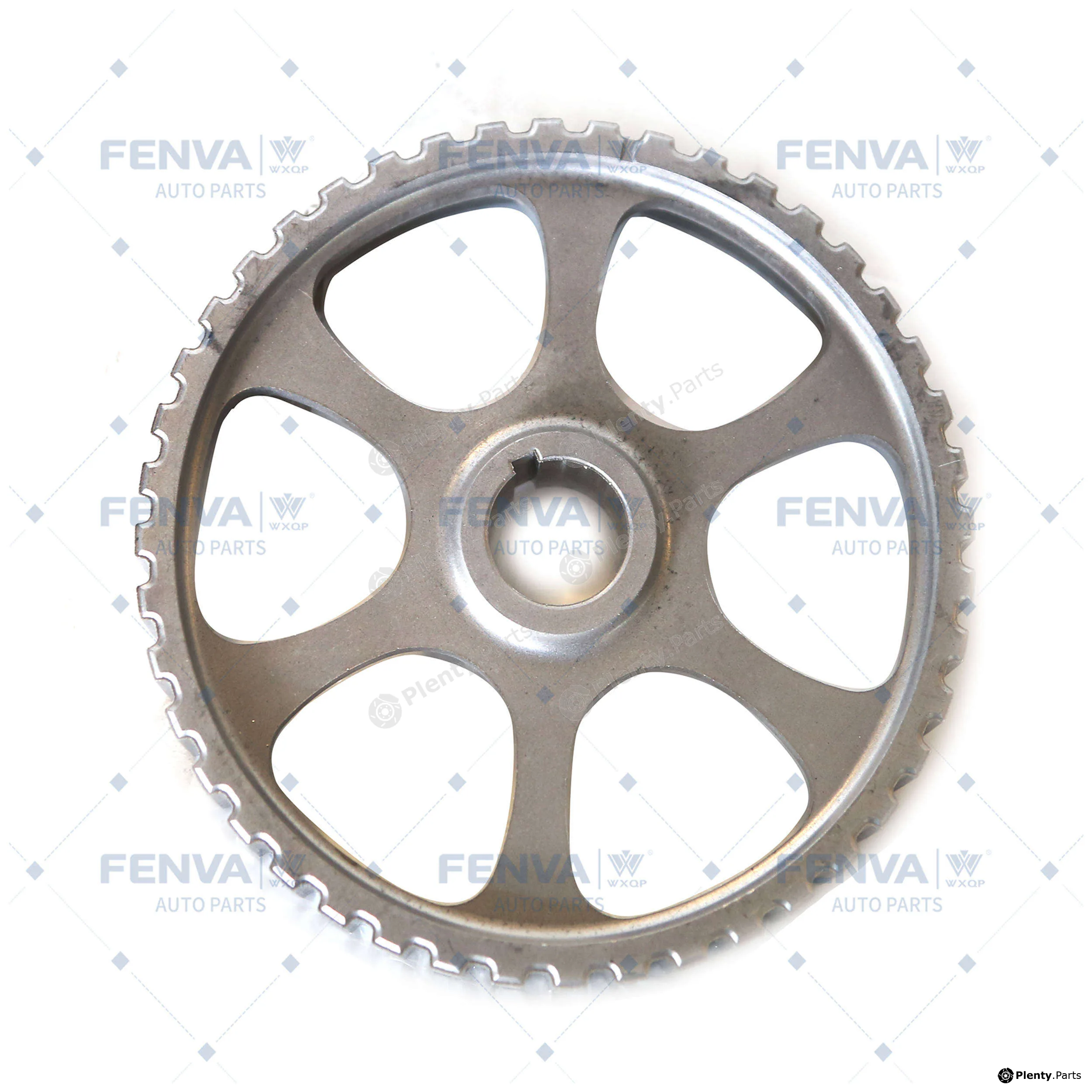 WXQP 310113 — Gear/Sprocket, camshaft