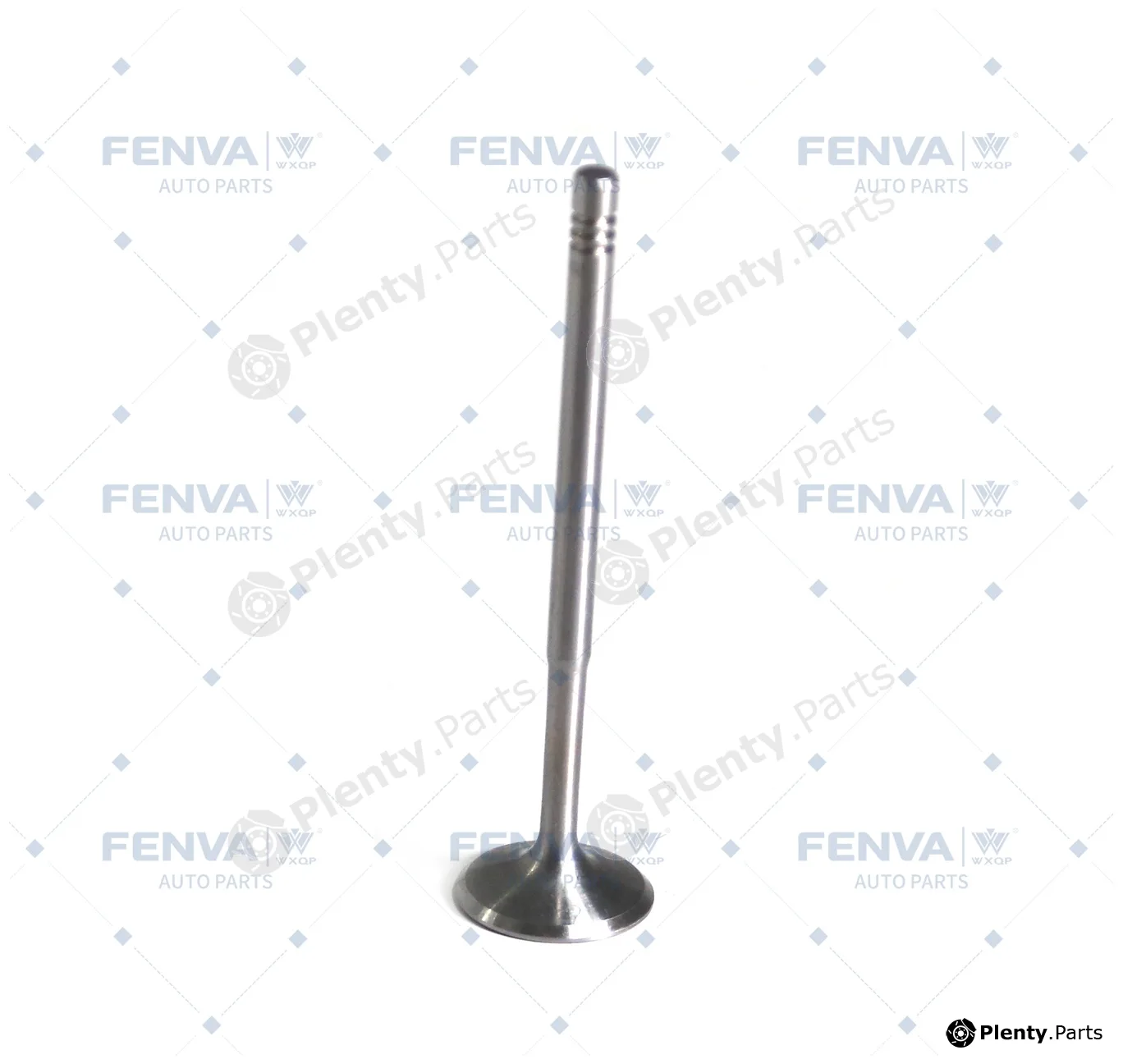 WXQP 311539 — Intake Valve