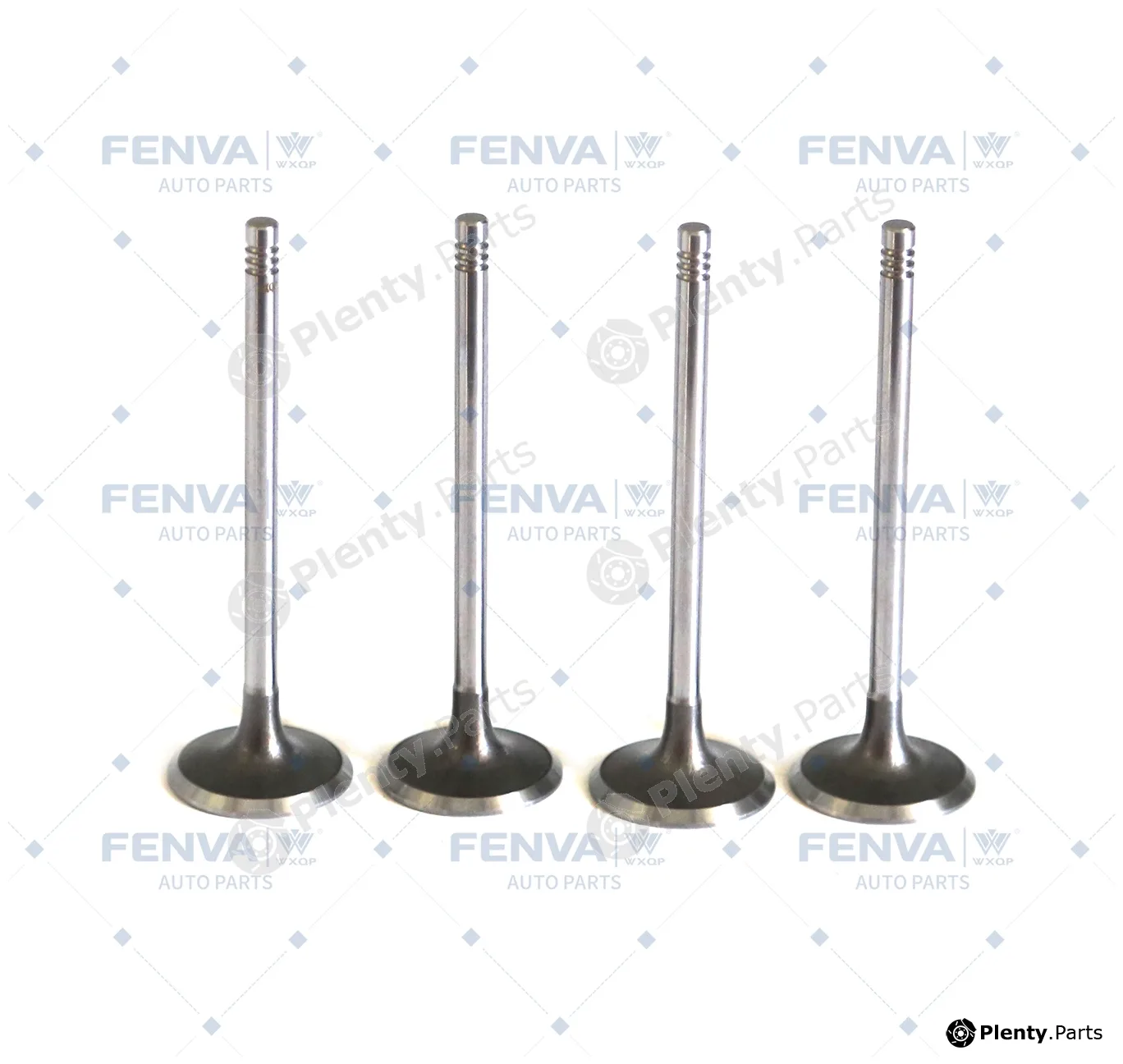 WXQP 210299 — Intake Valve