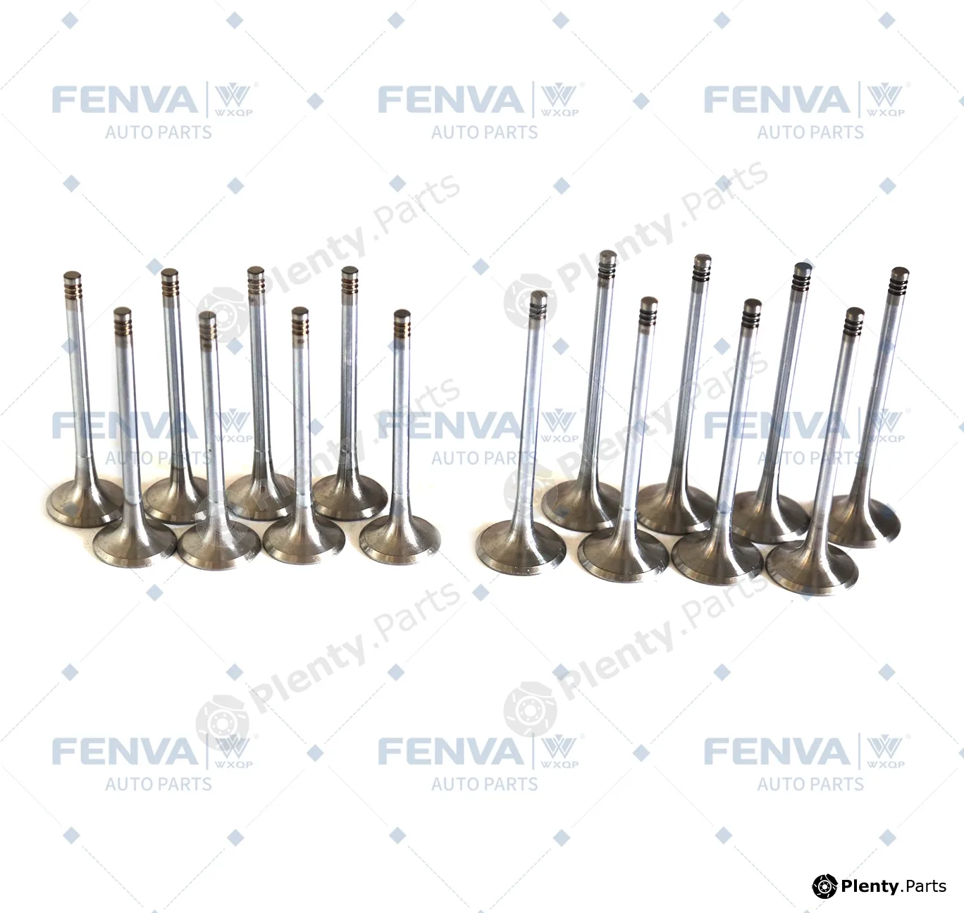 WXQP 560323 — Valve Kit, intake/exhaust valve