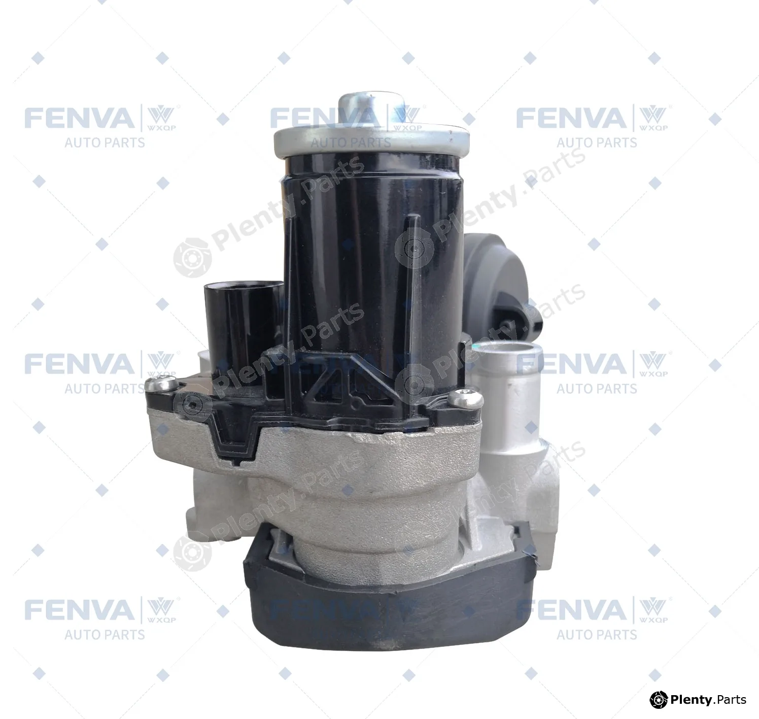 WXQP 381691 — EGR Module