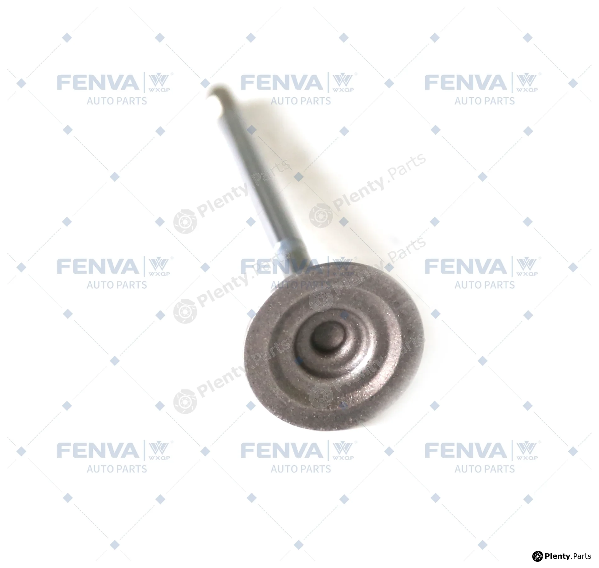 WXQP 112585 — Intake Valve