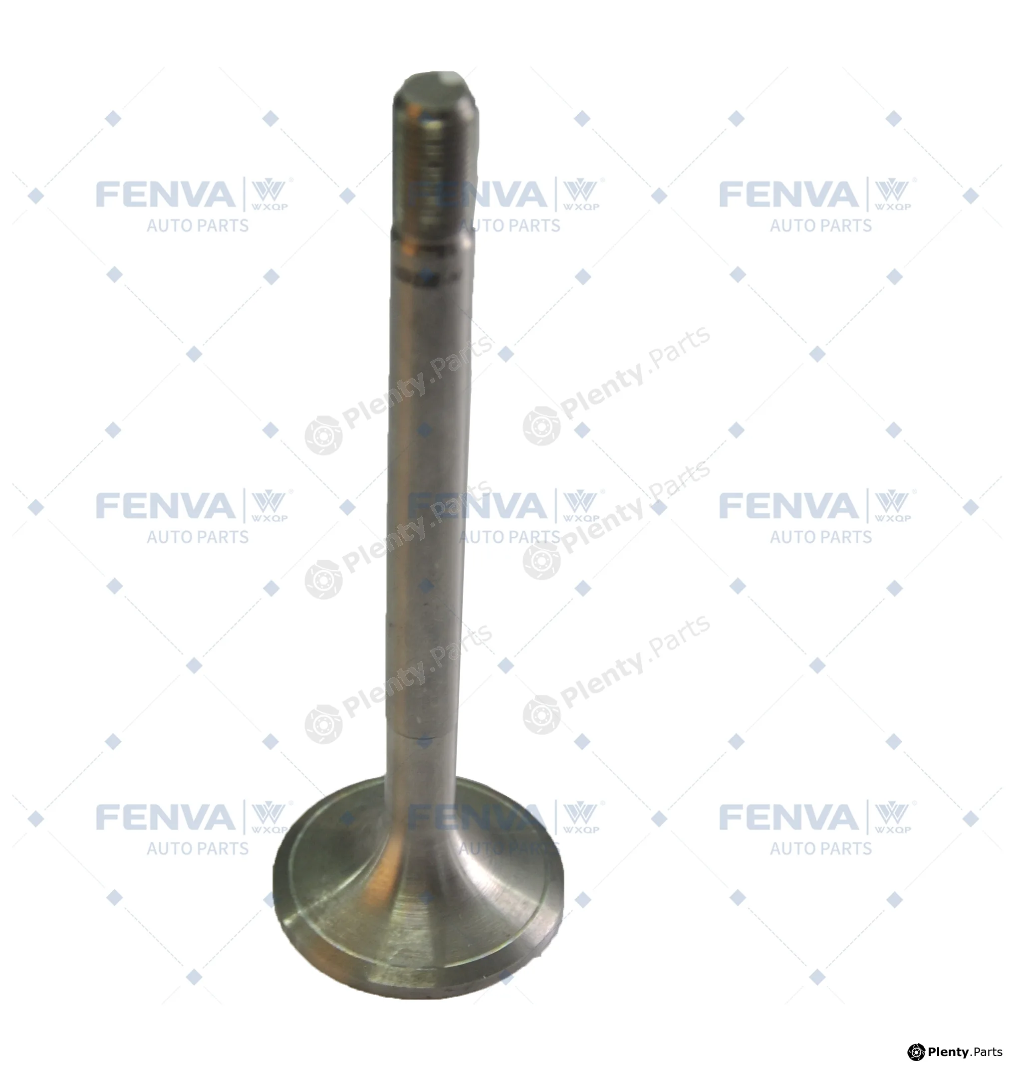 WXQP 110499 — Intake Valve
