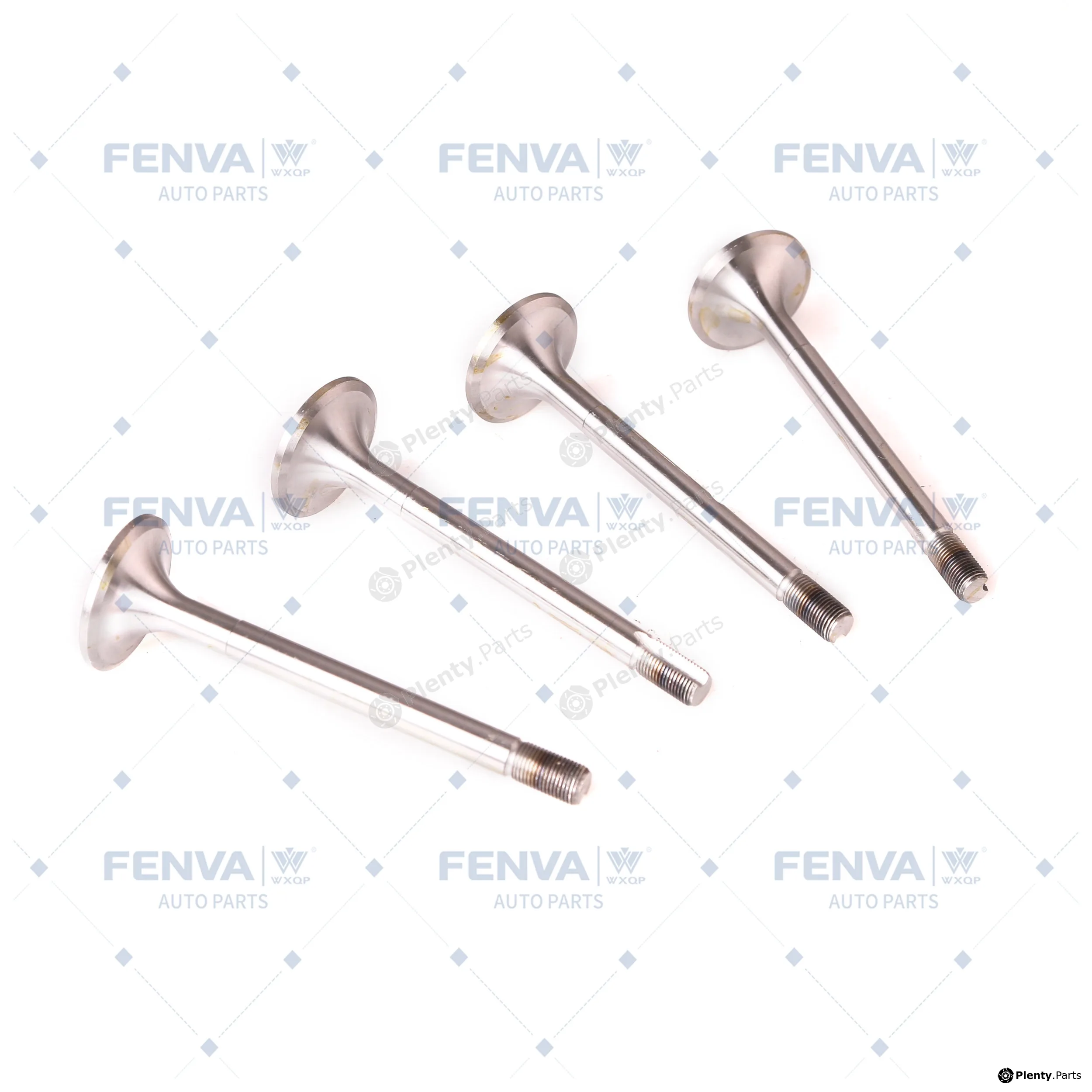 WXQP 110501 — Intake Valve