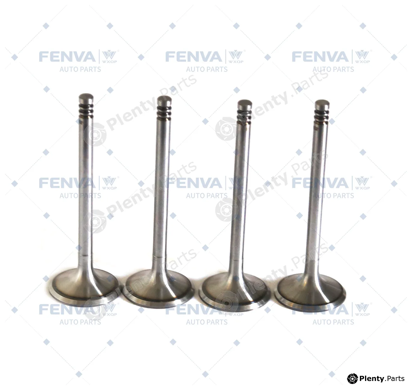 WXQP 110497 — Intake Valve