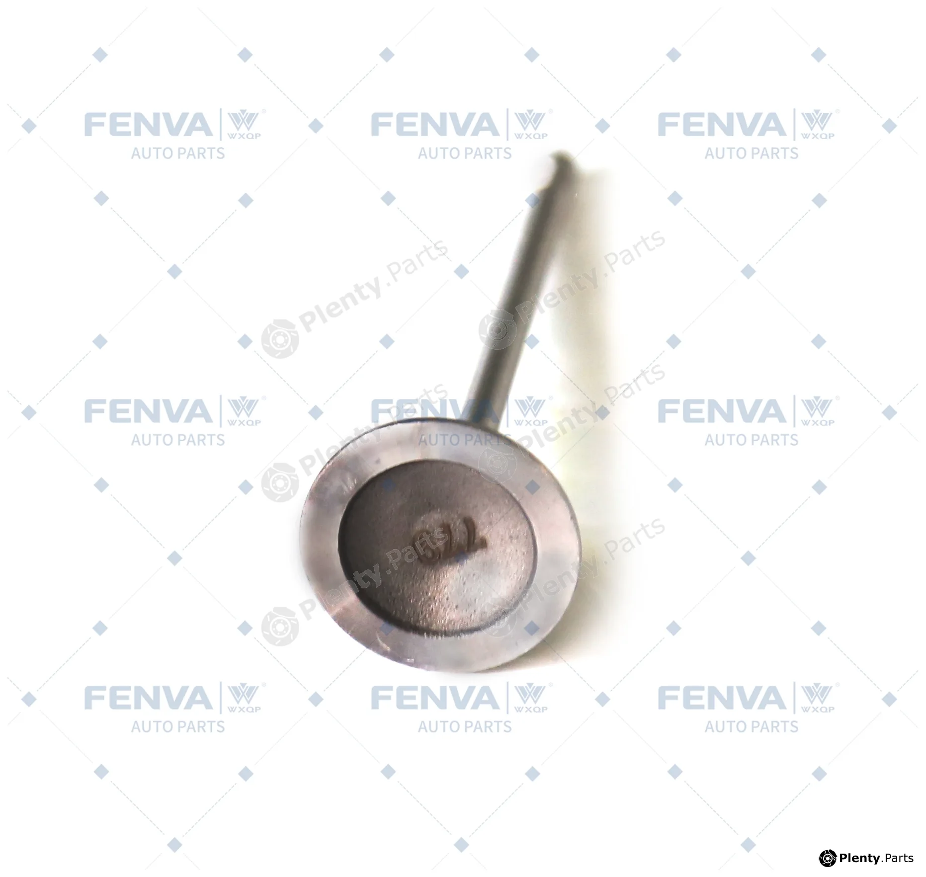 WXQP 211169 — Intake Valve