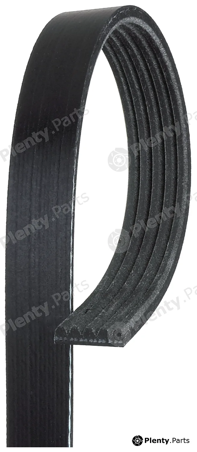 Gates-Mx 5PK913 — V-Ribbed Belt