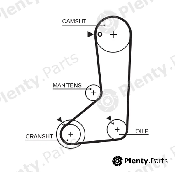 Gates-Mx T124 — Timing Belt PowerGrip®