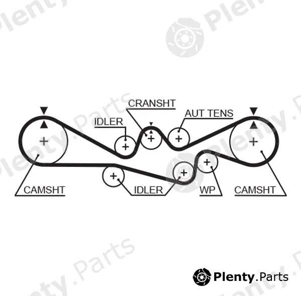 Gates-Mx T304 — Timing Belt PowerGrip®