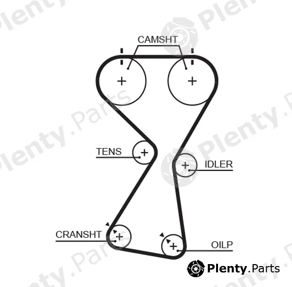 Gates-Mx T256 — Timing Belt PowerGrip®