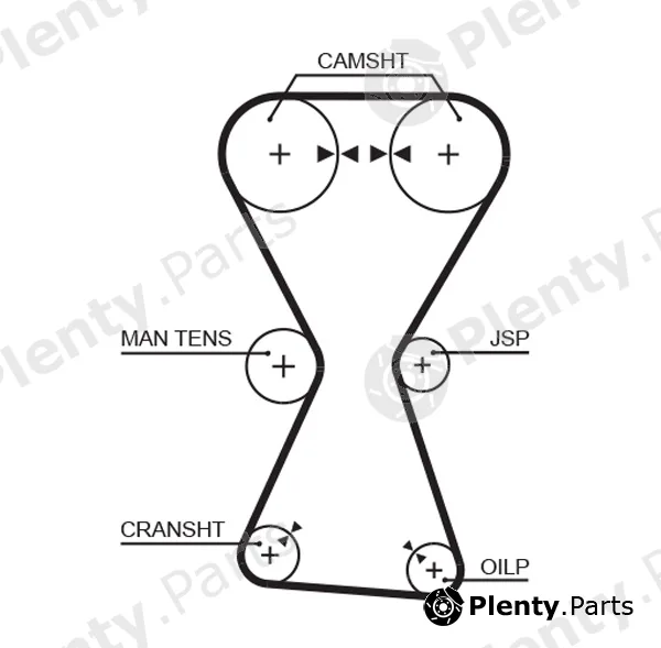 Gates-Mx T167 — Timing Belt PowerGrip®