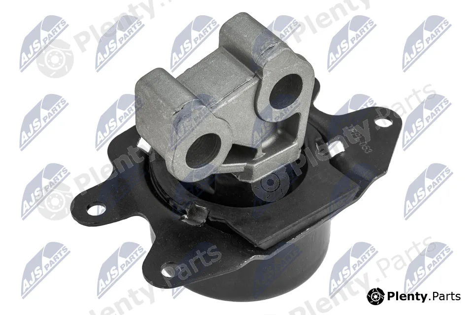 NTY ZPS-PL-018 — Mounting, engine