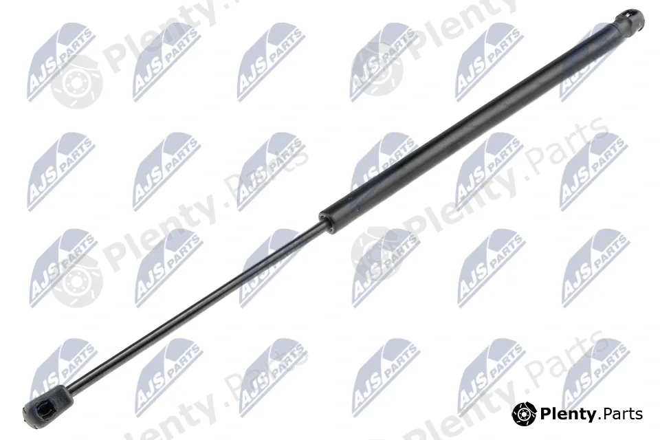 NTY AE-PL-016 — Gas Spring, boot/cargo area