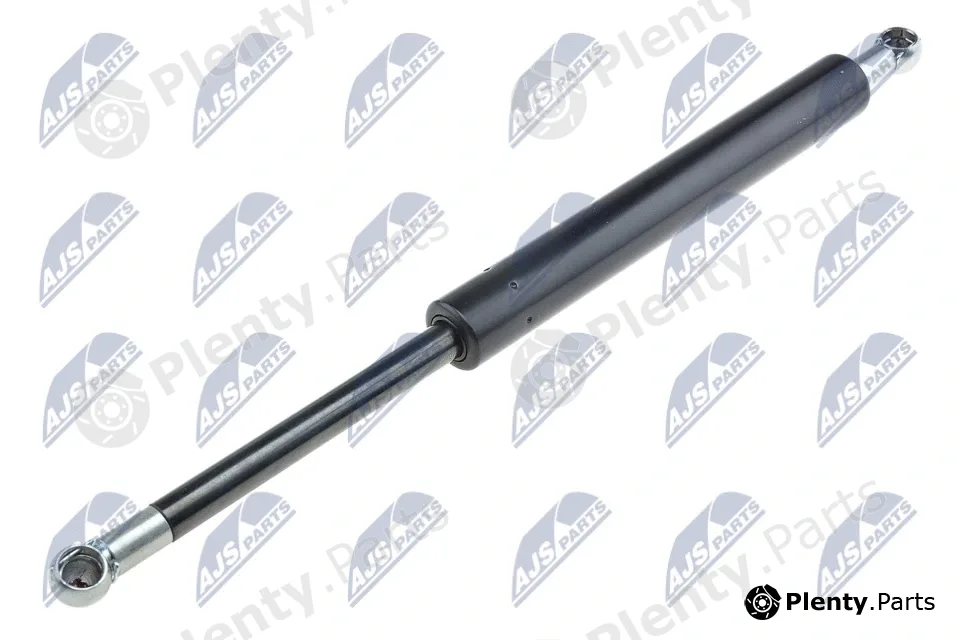 NTY AE-SA-001 — Gas Spring, boot/cargo area