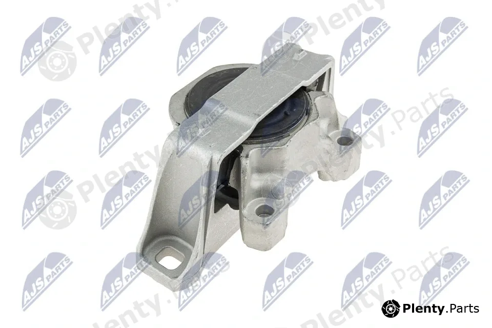 NTY ZPS-FR-021 — Mounting, engine