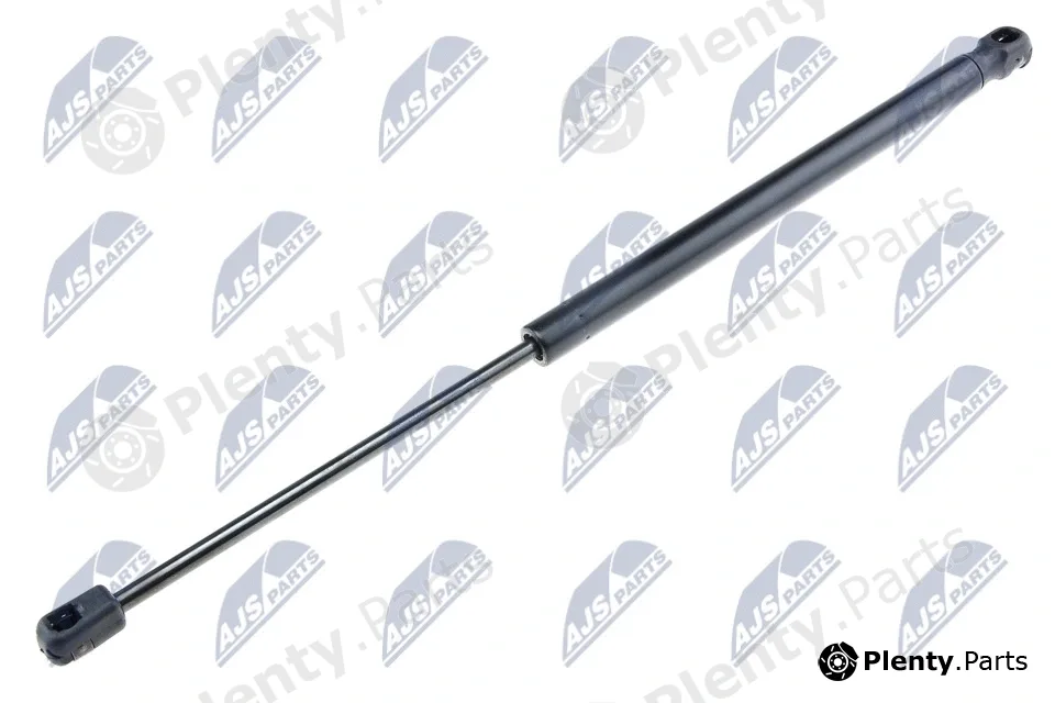 NTY AE-FR-014 — Gas Spring, boot/cargo area