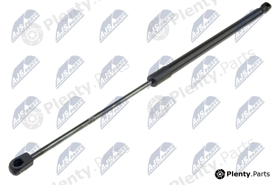 NTY AE-DW-016 — Gas Spring, boot/cargo area