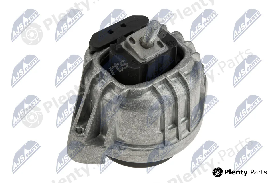 NTY ZPS-BM-009 — Mounting, engine